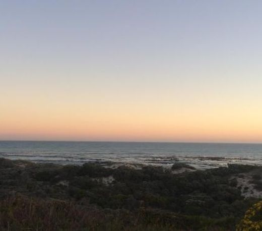 Once Upon a Tide