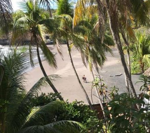 Shalpa surf villa