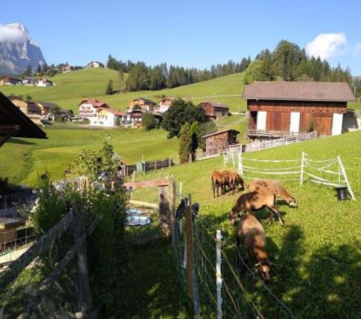 Haus Belodei - Apt A