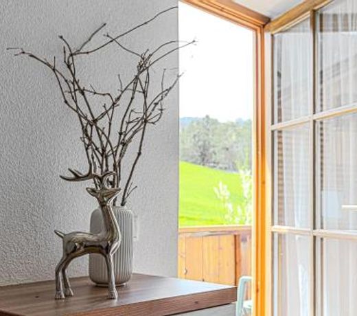 Apartment Dolomites Nest