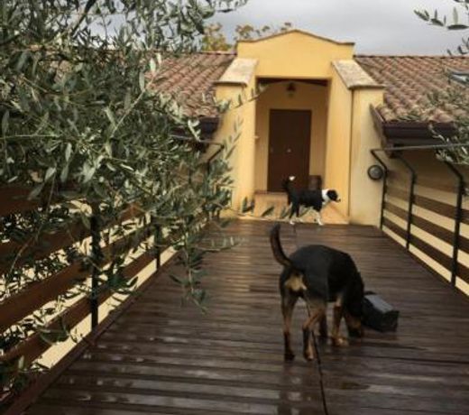 Casa Vacanze Le More