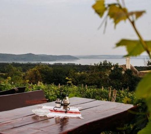 Meilinger Vendeghaz Balatonudvari