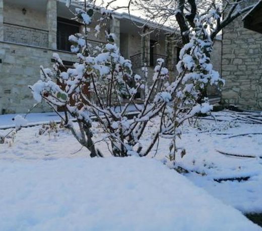 LAOUTARIS INN