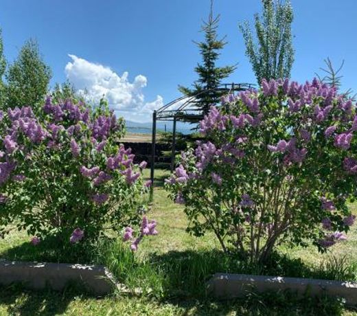 PARADISE VILLA in Sevan