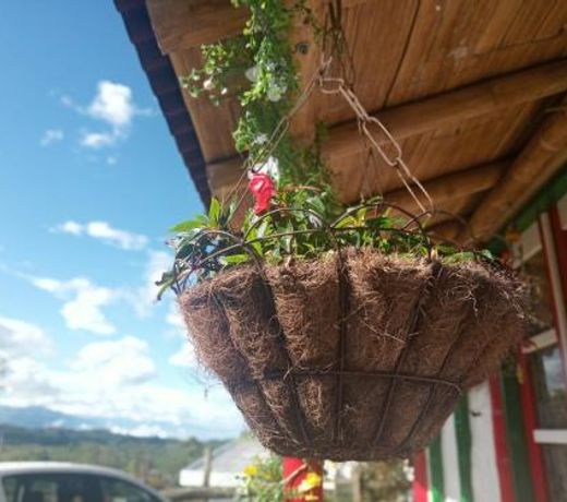 Exclusiva Cabana en el corazon del Eje Cafetero cerca a Pereira Salento Filandia