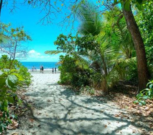 Plantation 2 - Absolute Beachfront