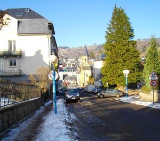 Apartment with 2 bedrooms in La Bourboule with wonderful mountain view enclosed garden and WiFi 12 k