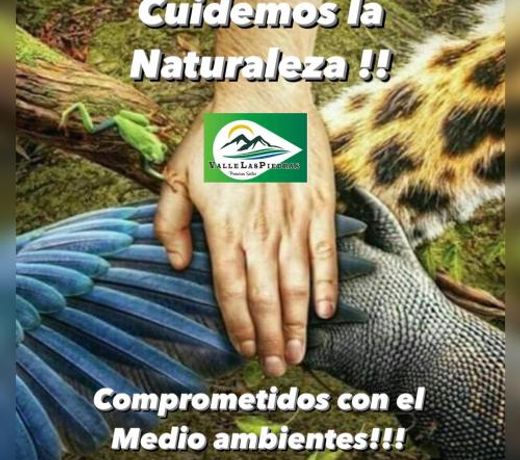 Valle Las Piedras