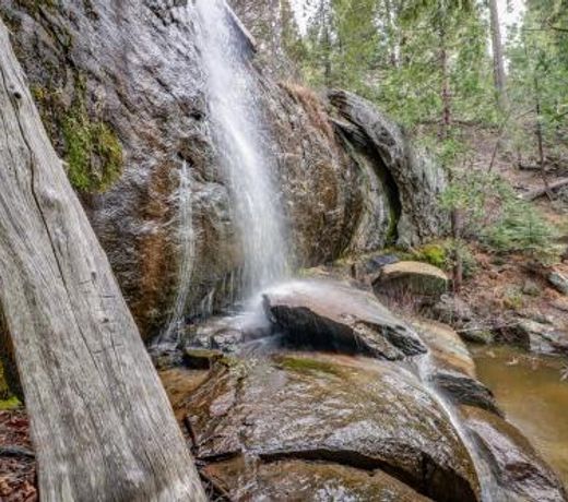 Forest Falls
