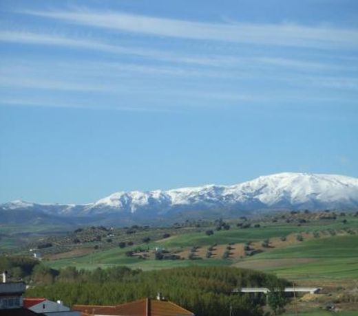 Cortijo Las Montoras