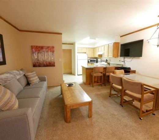 Wolf Lodge Condo #801