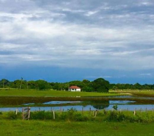 Casa da Baia: um pedaco do paraiso no Pantanal Sul