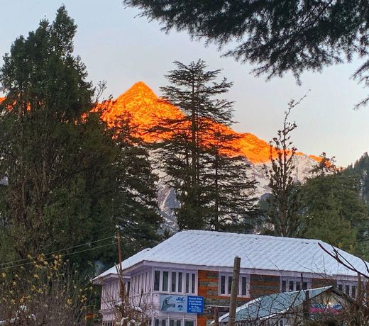 Old forest view guest house in pulga