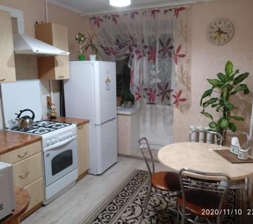 Apartment in Borovlyany