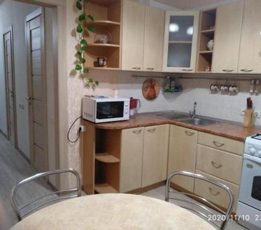 Apartment in Borovlyany