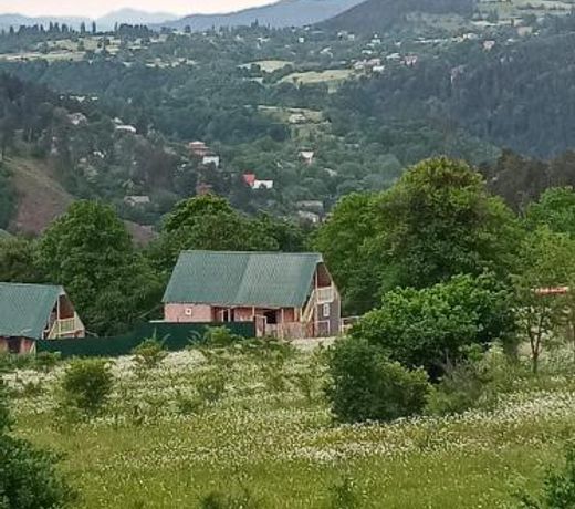 Borjomi Cottage Tsemi