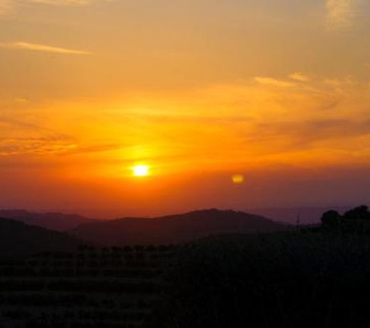 Finca Abogat