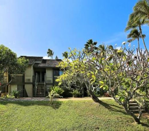 Bird of Paradise Condo