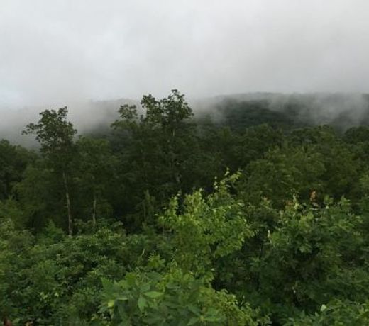 Tentrr - Hillsdale Hideaway