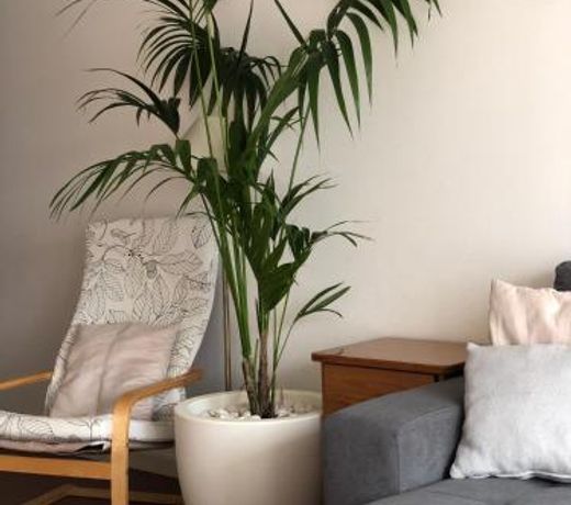 Vacations home Albufeira