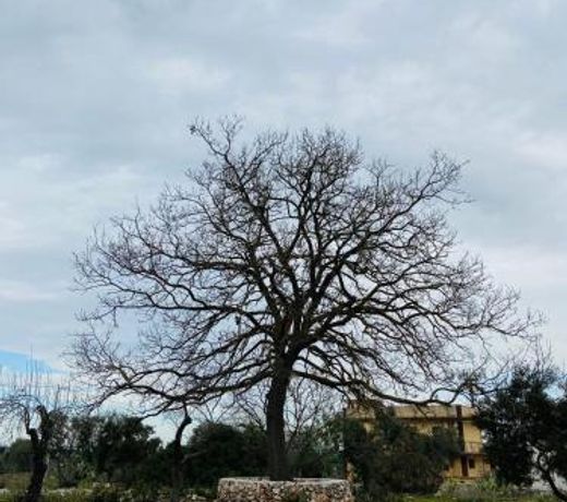 Trullo Cristelle