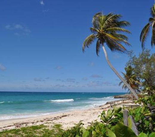 Tropical Gecko Studio - Sweet Jewel Apartments
