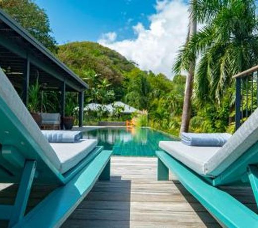 Villa d'architecte au Francois avec piscine a debordement de 16m