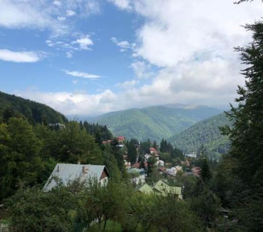 Vila Sinaia Private