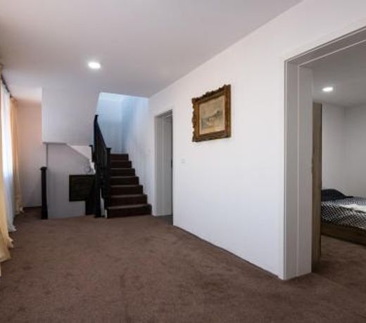 Leisure and Business Crib