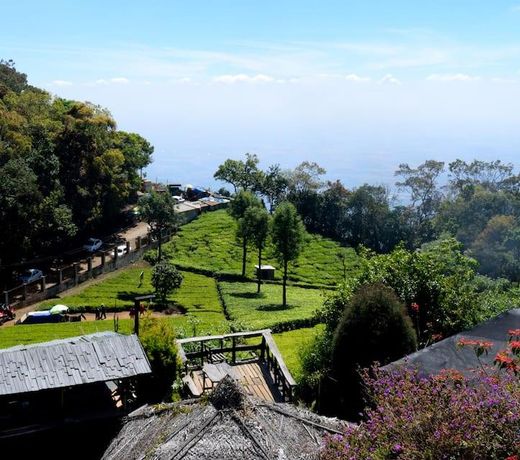 De Rock Jungle Living Resort