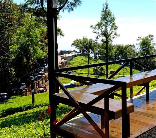 De Rock Jungle Living Resort