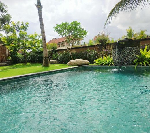 Villa in rice fields, 1 br, swimming pool, garden