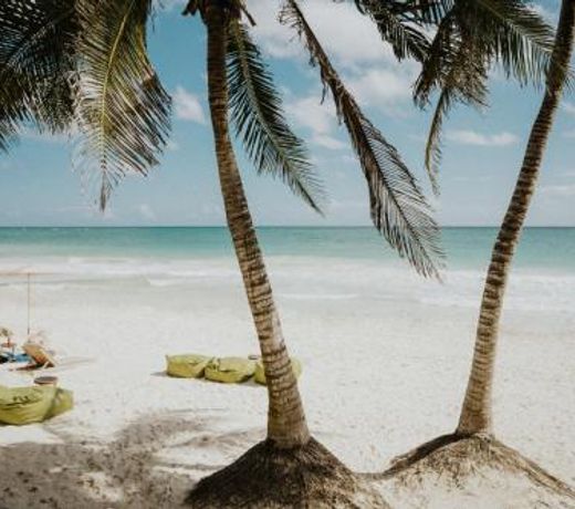 Zorba Tulum Beach Homes