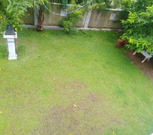 Aruliya Ayurveda Resort Galle