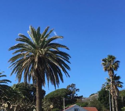 Silveira by the Sea