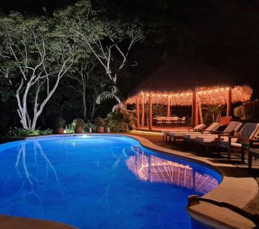 Villa Palmera
