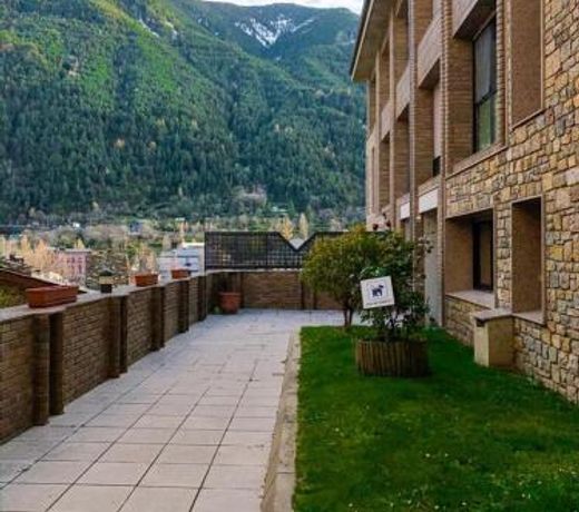 El Kiwi. Minimalista y cerca del remontador pistas