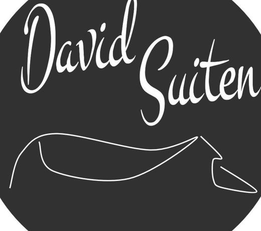 DAVID SUITEN
