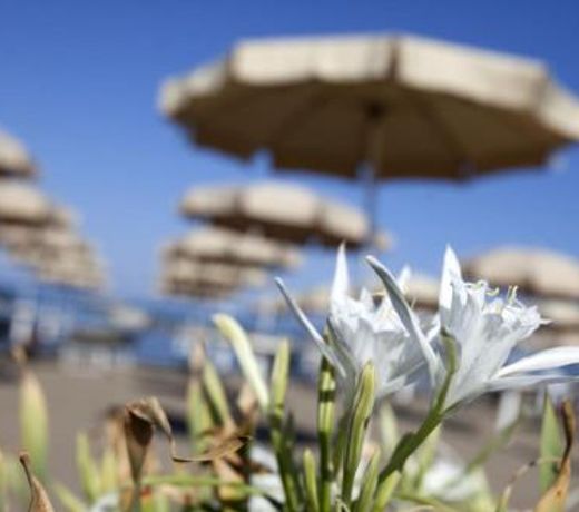 Happy Sea Home - monolocale sul mare con piscina