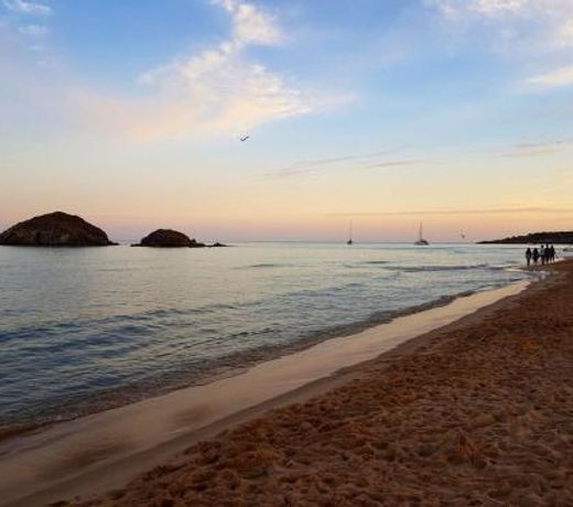 I Limoni del Sud Sardegna