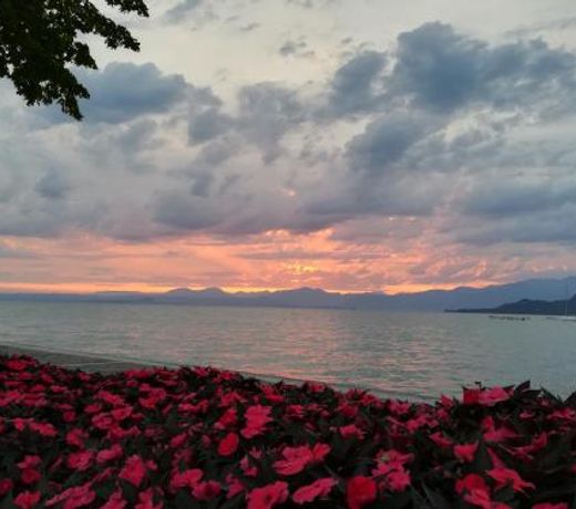 Suite Francy Panorama