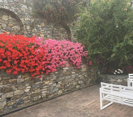 Villa Olivari - apt il Cedro