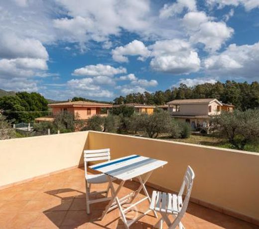 L'Asfodelo - Great Holiday Deal