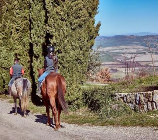 Az.Agr. Il Cavalleggero