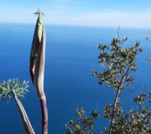Appartamento mare e monti Two