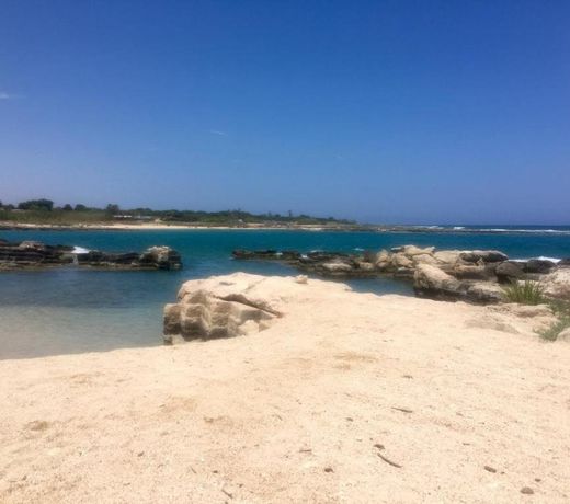 Almarea Blu e Smeraldo - appartamenti in villa vicino al mare - affitto breve