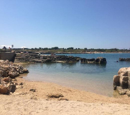 Almarea Blu e Smeraldo - appartamenti in villa vicino al mare - affitto breve