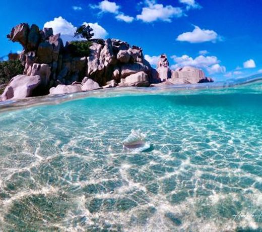 MONO-MARY: just 600m from the SEA with private beach!