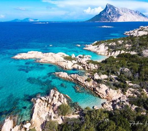 MONO-MARY: just 600m from the SEA with private beach!