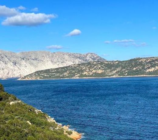 San Teodoro Punta Est Delizioso Monolocale Vista Mare